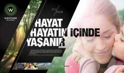 Биткоин вернулся к 4-летним циклам?