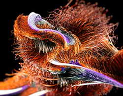 Эдуард Латыпов: «Благодарен Богу, что поехал на Игры в Пекин и смог там взять медали»