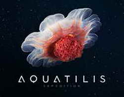 Спаллетти возглавил «Ювентус», апелляция Валиевой по делу о дисквалификации отклонена, Медведев и Бублик в 1/4 финала «Мастерса», Баттон завершает карьеру и другие новости