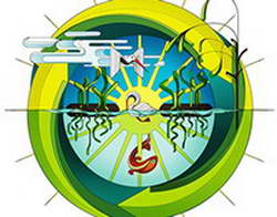 Жеребьевка стыков отбора ЧМ-2026. Италия, Украина, Польша, Турция, Ирак, Суринам и другие узнают соперников